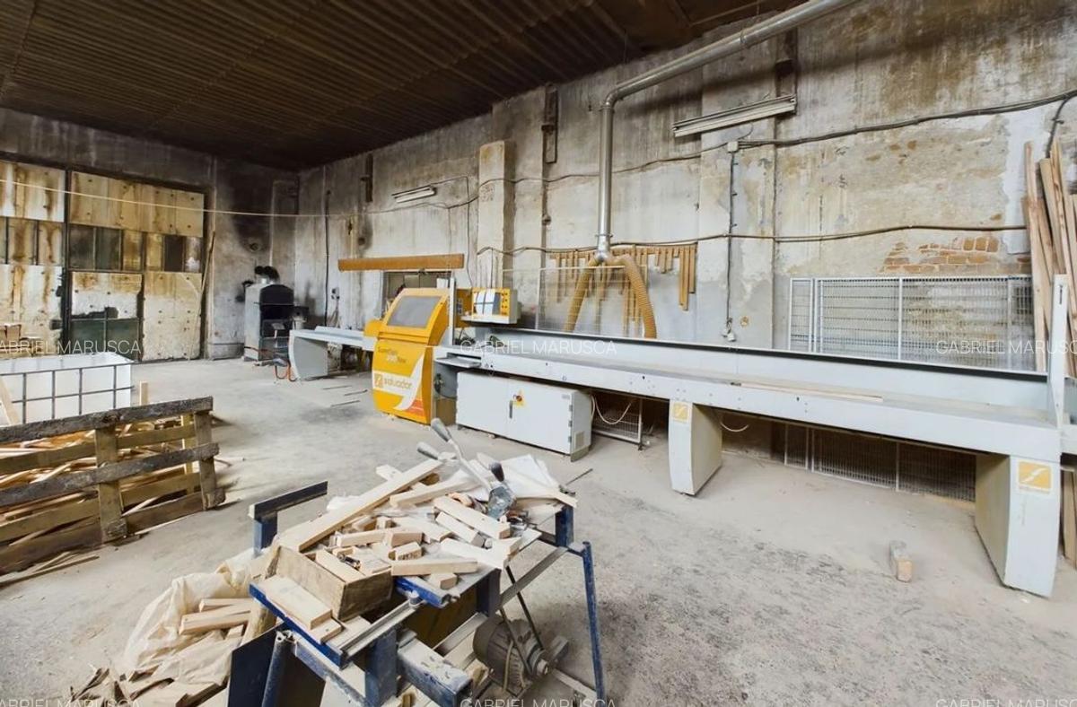 Fabrica prelucrare lemn de vanzare - Lipova, Arad - 21
