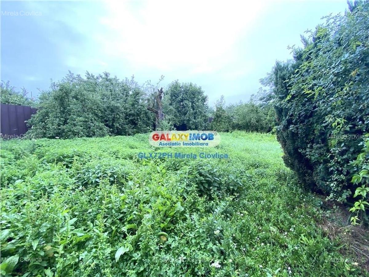 Vanzare casa Baicoi Primarie - 13