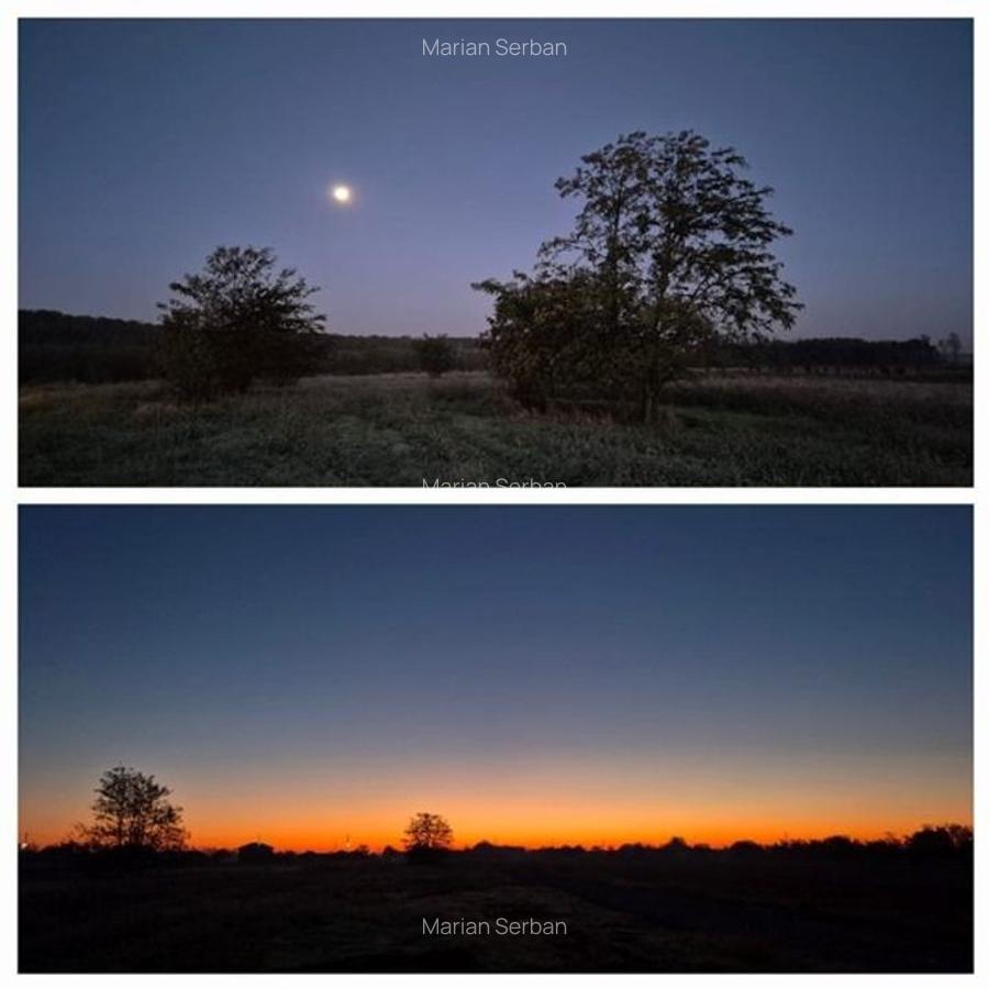 De vanzare - TEREN construcții 700 mp - lizieră - Siliștea Snagovului - 1