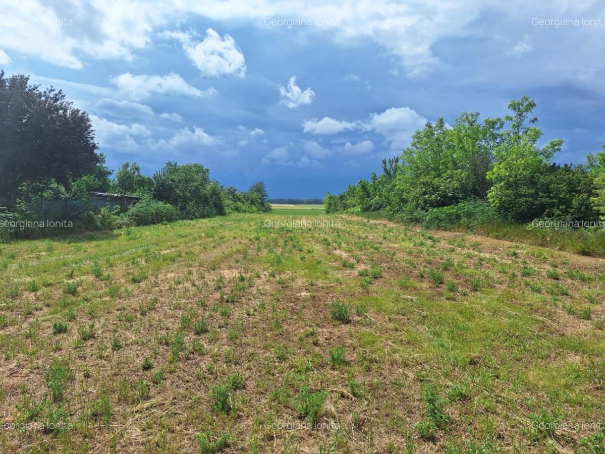 Teren Construcții intravilan de 4186 mp, în Belciug - 4