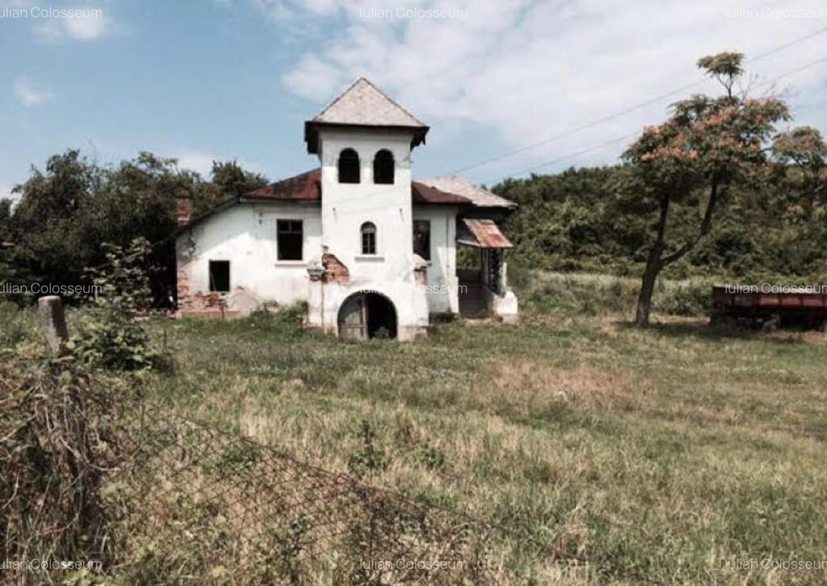 Teren de vanzre in Pitesti 53.000 mp + Conac Boieresc - 4