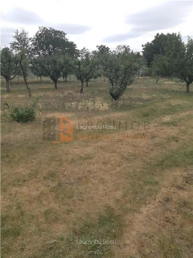 Casă individuală cu 3 camere în Stâlpu - 9