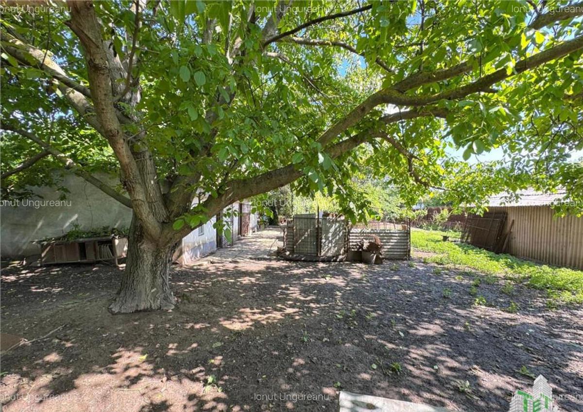 Casa de - Movilita, jud. Ialomita - 2000 mp teren, pozitie - 23