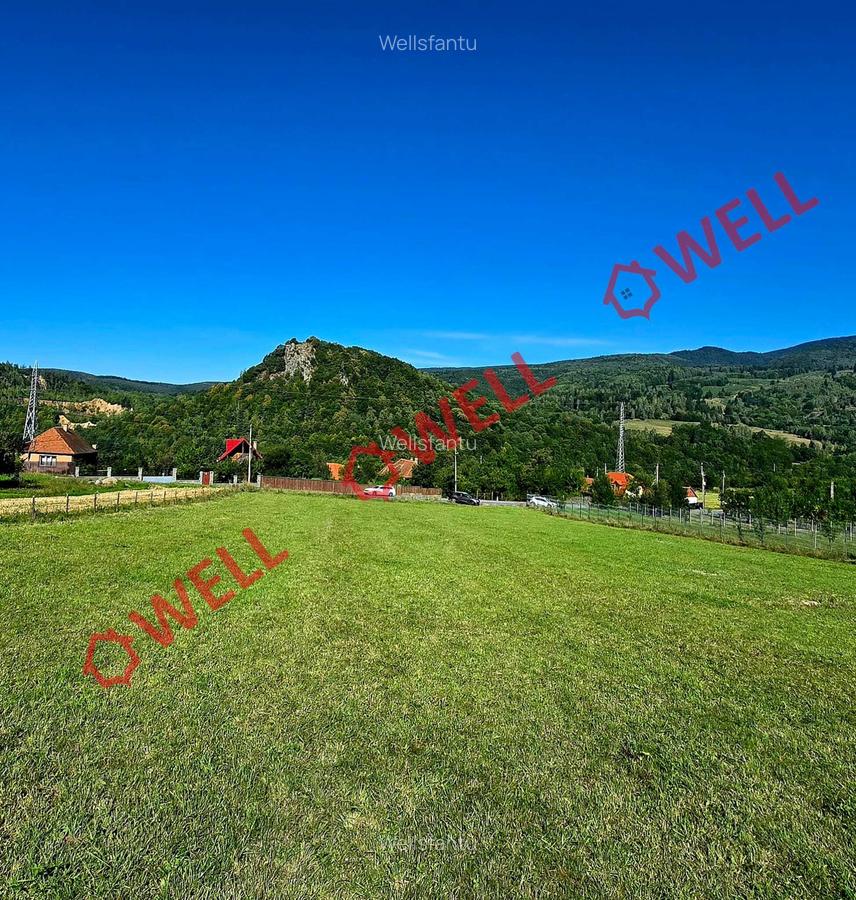 De vânzare teren de 2.782 mp în loc. Bixad - 3