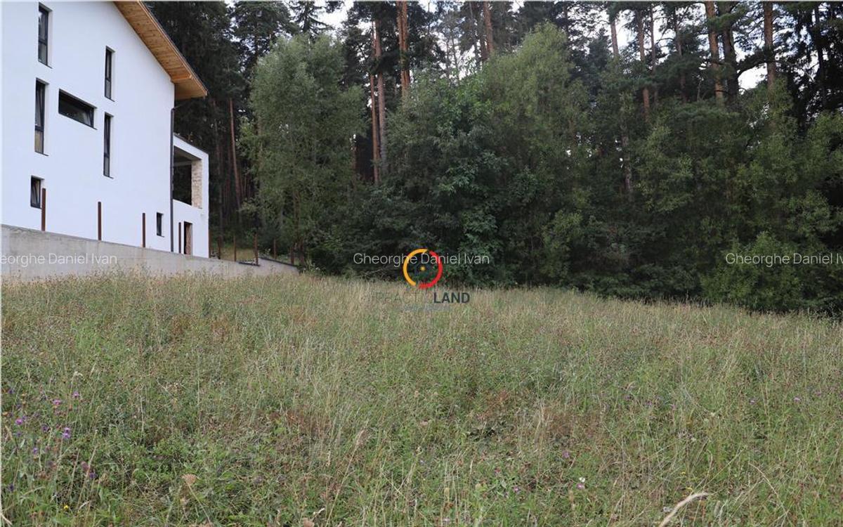 Teren intravilan cu PUZ si PUD 2 loturi - 7