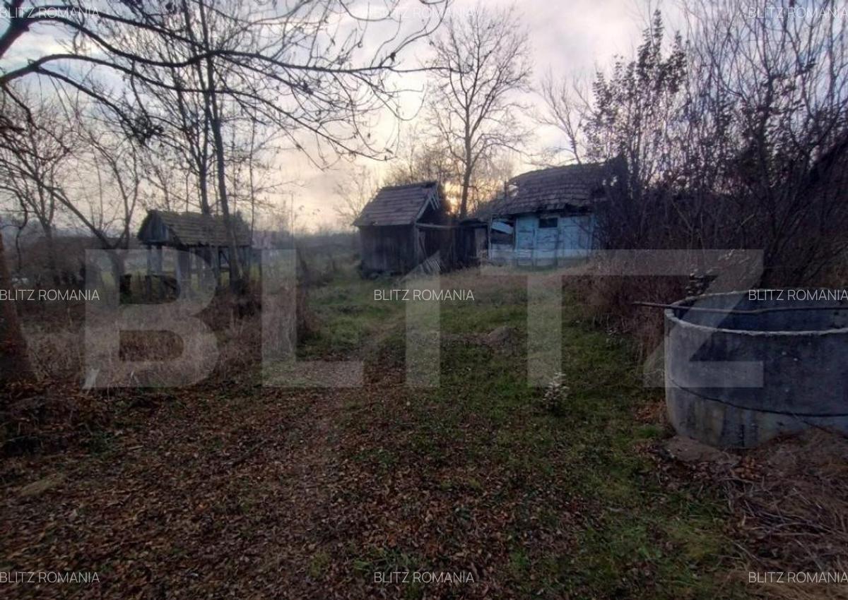 Casa batraneasca,55mp utili, teren aferent 2700mp+1ha teren - 9