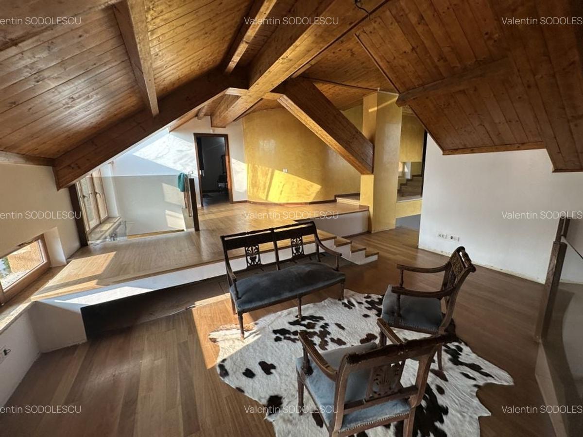 Proprietate cu piscina Dumbravita - 9