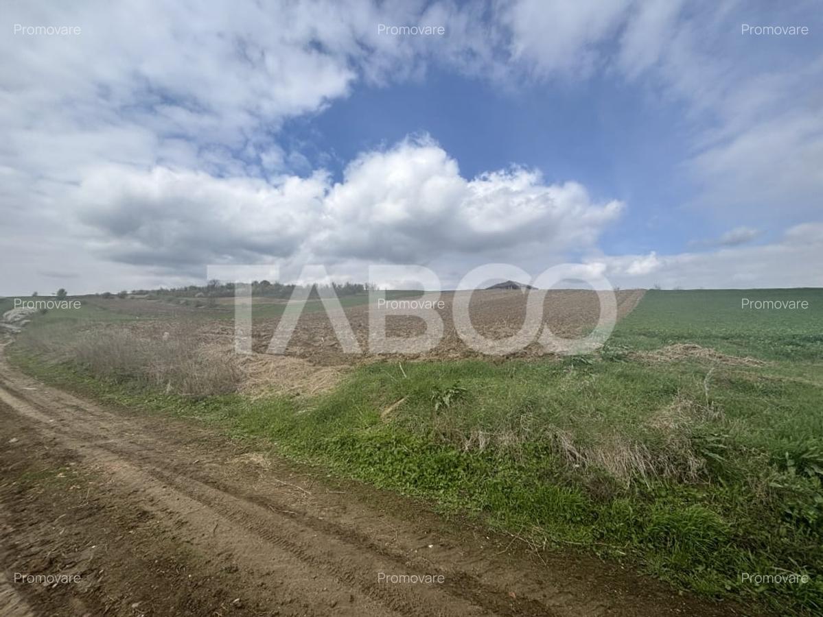 Teren intravilan de vanzare 4600mp deschidere 37m in Sura Mare Sibiu - 2