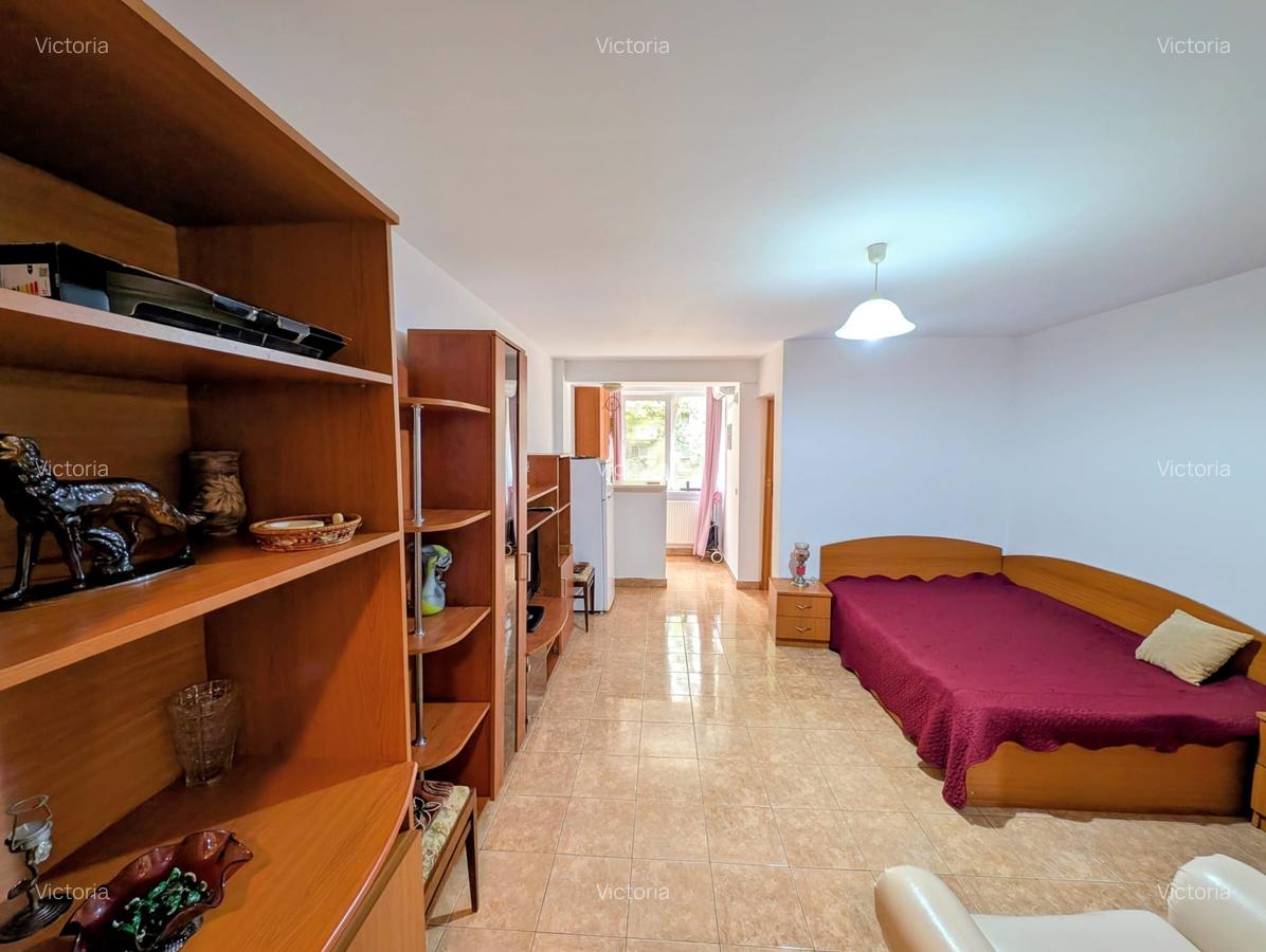 Costin Georgian-Aleea Barajul Bicaz,spatioasa,parter,balcon,mob/utilata,libera - 6