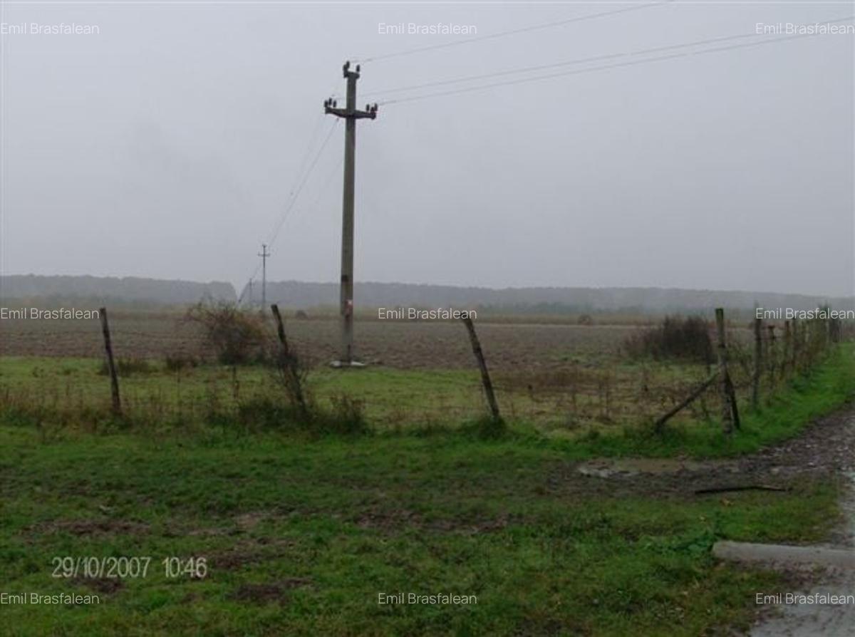 Teren de vanzare agricol si constructie hale cu posibila  legatura la curent - 1