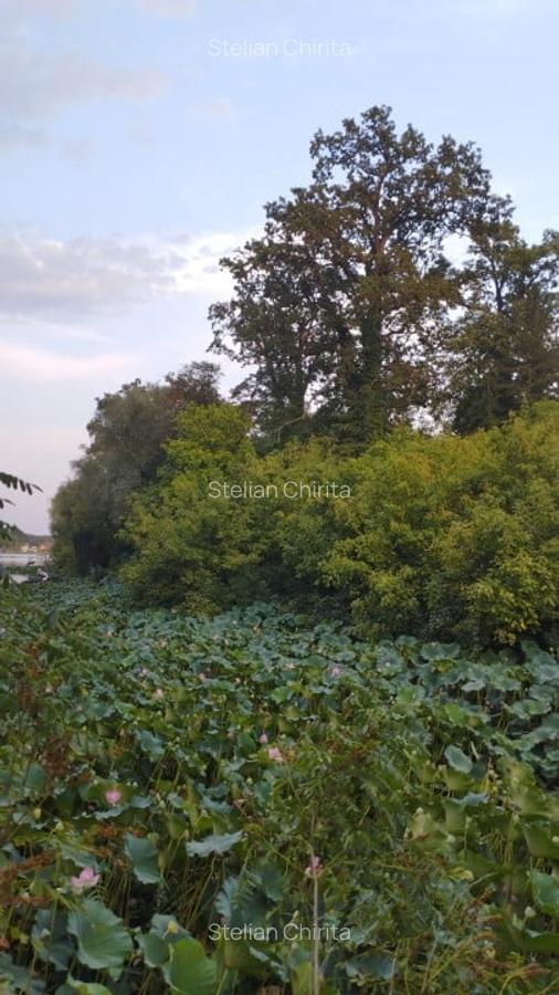 SUPER  OCAZIE TEREN 4000MP DE VANZARE IN SNAGOV CU DESCHIDERE LA LACUL SNAGOV - 10