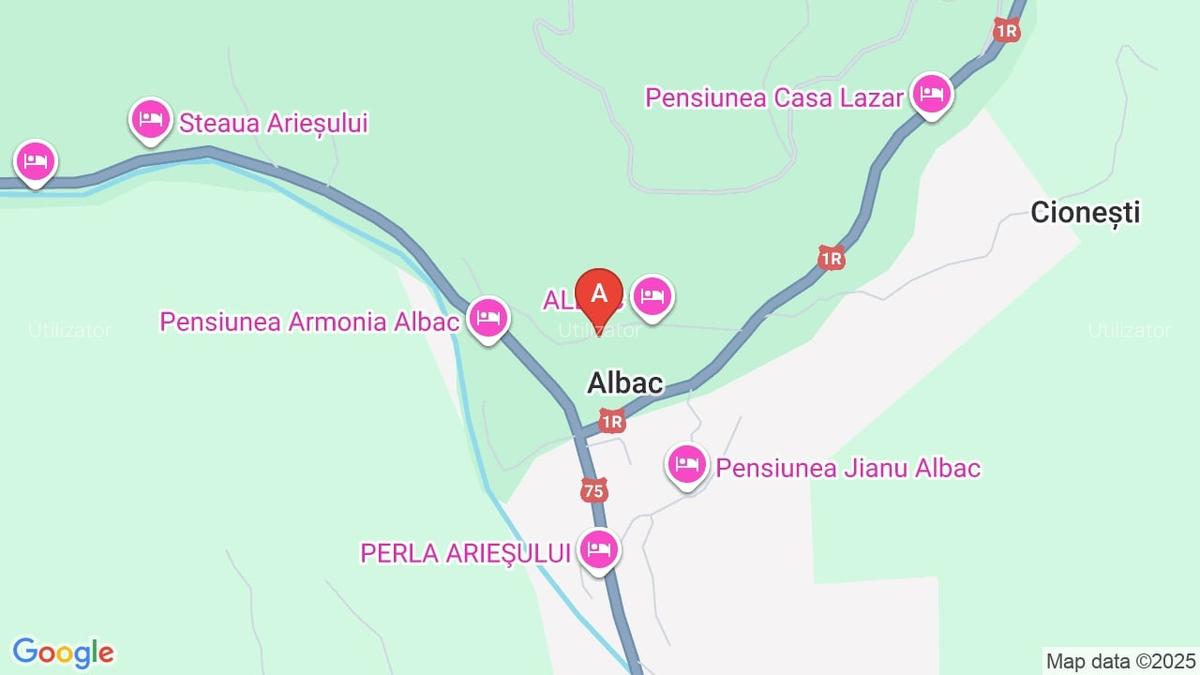 Teren de vânzare Munții Apuseni 4500 mp intravilan - 1