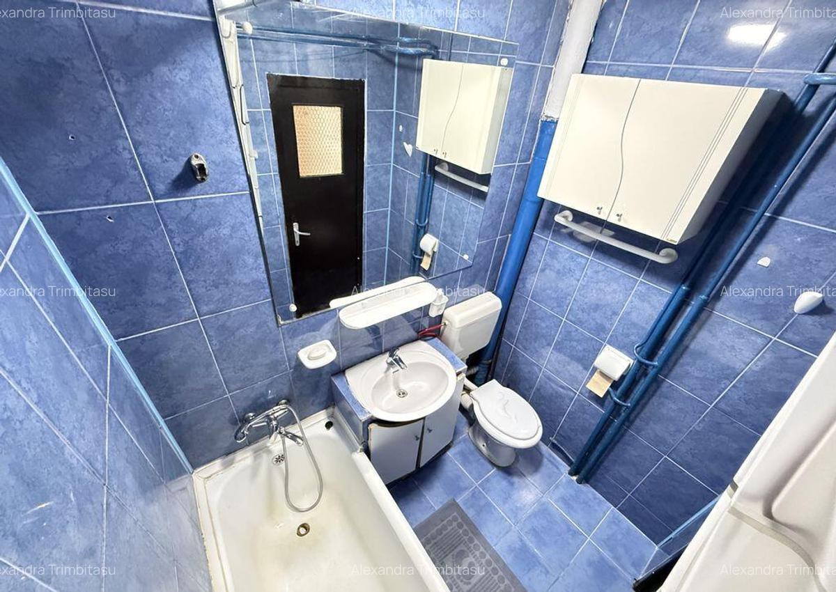 Apartament 2 Camere Teiul Doamnei Lacul Tei - 14