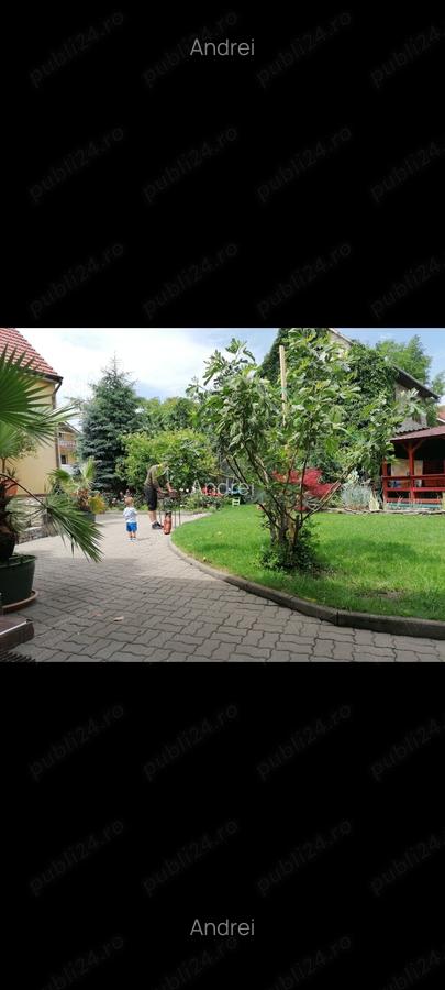 Vand casa, in centru orasului Alba Iulia - 1
