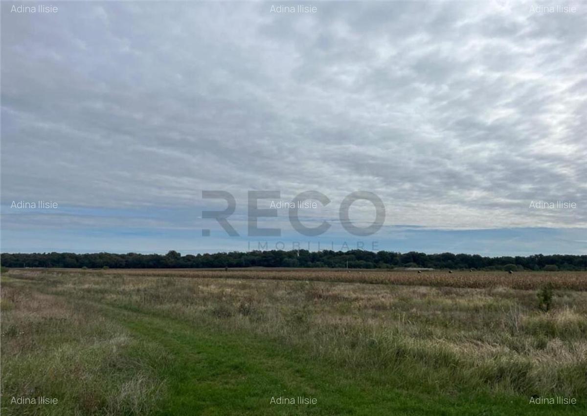 RECO Teren intravilan zona BEVERLY HILLS - 1