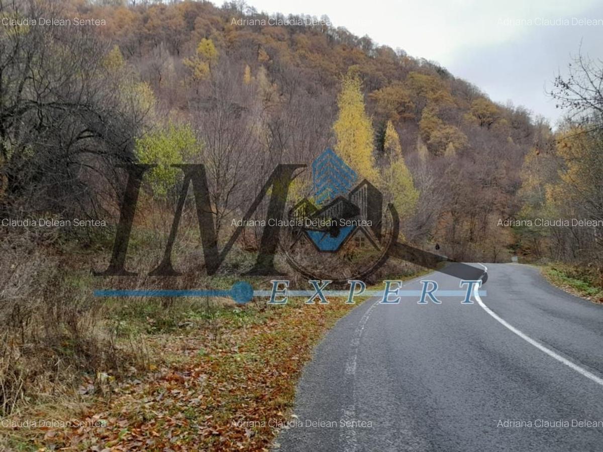 Teren extravilan direct la șoseaua TRANSALPINA - 3