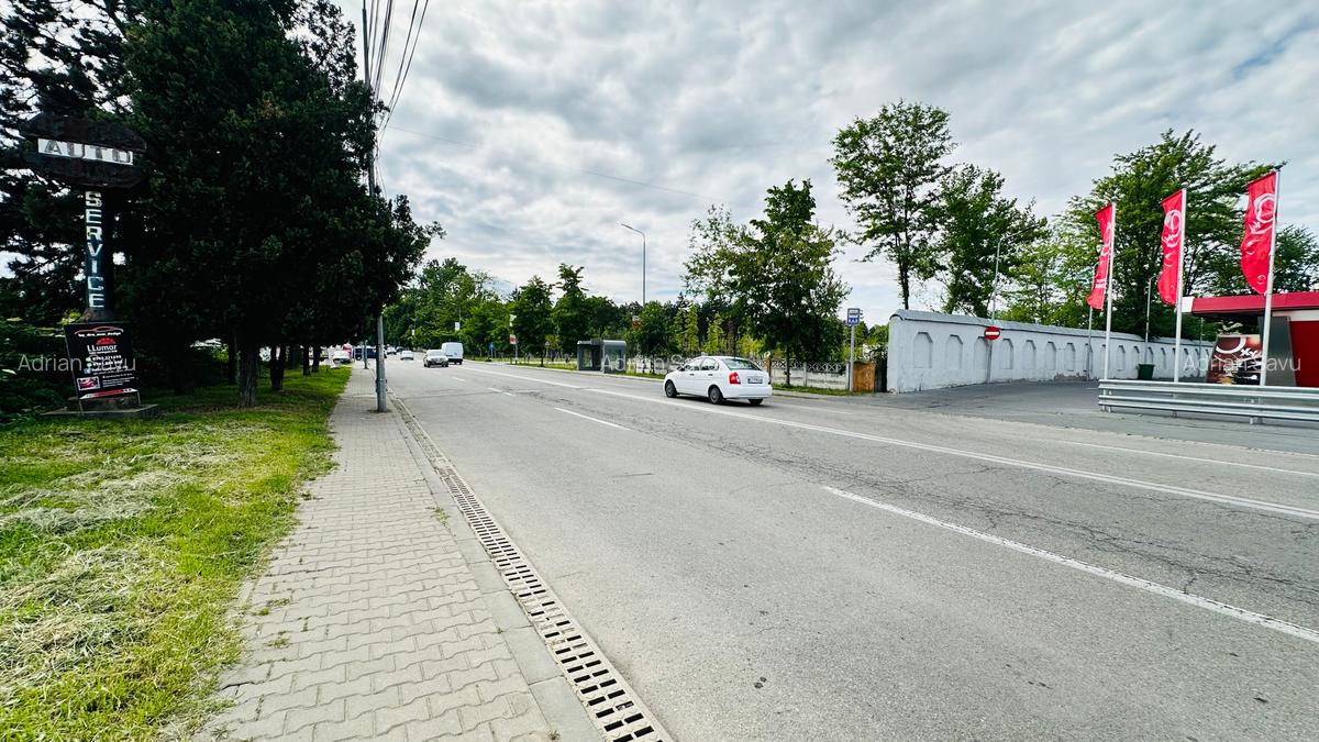 Teren intravilan / hale  >  de închiriat situate pe  Calea București , Târgu-Jiu - 5