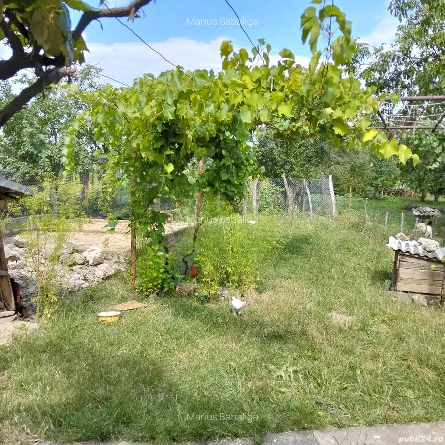 Vand Casa - 3