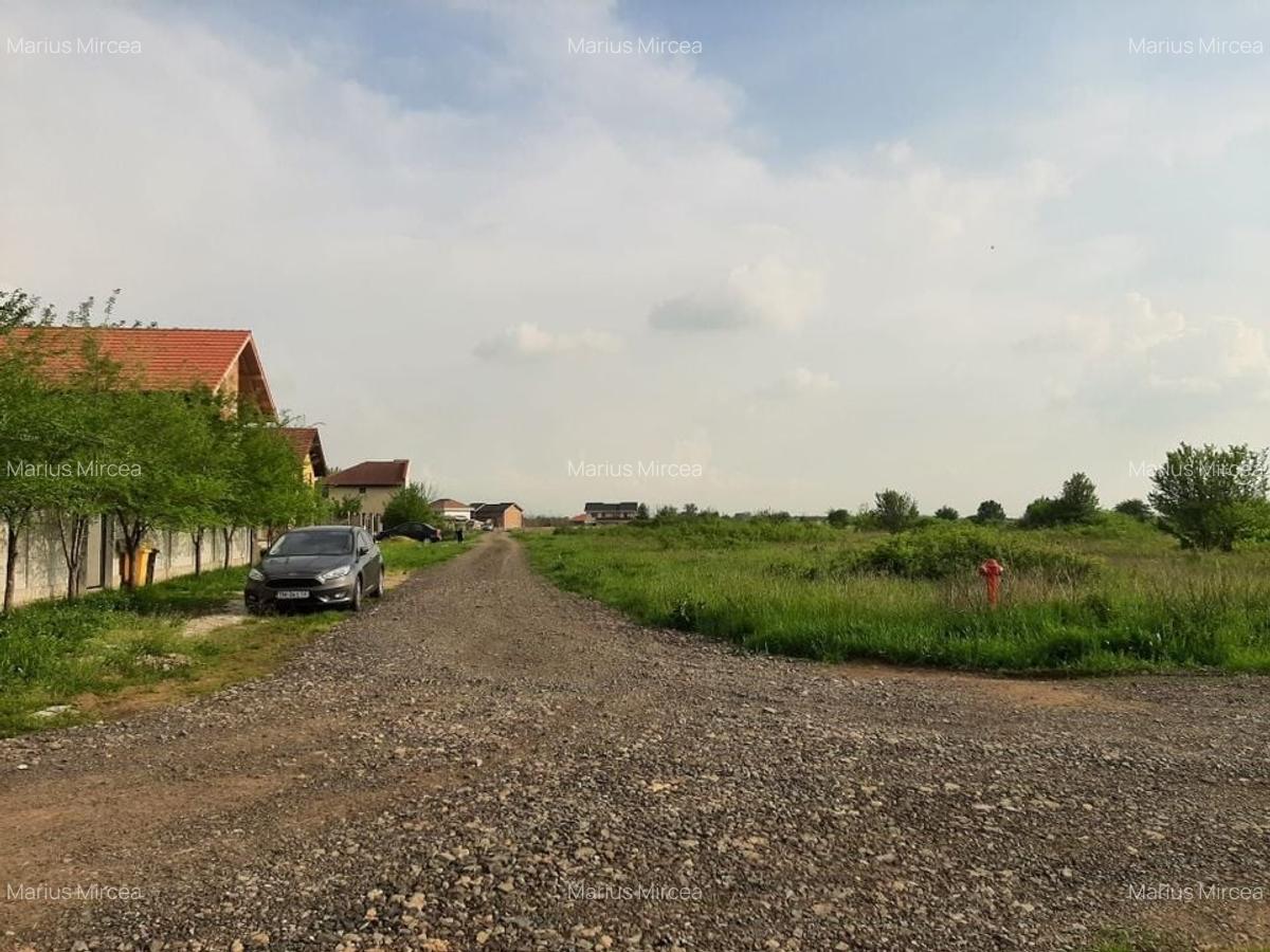 Teren - super pret - 2