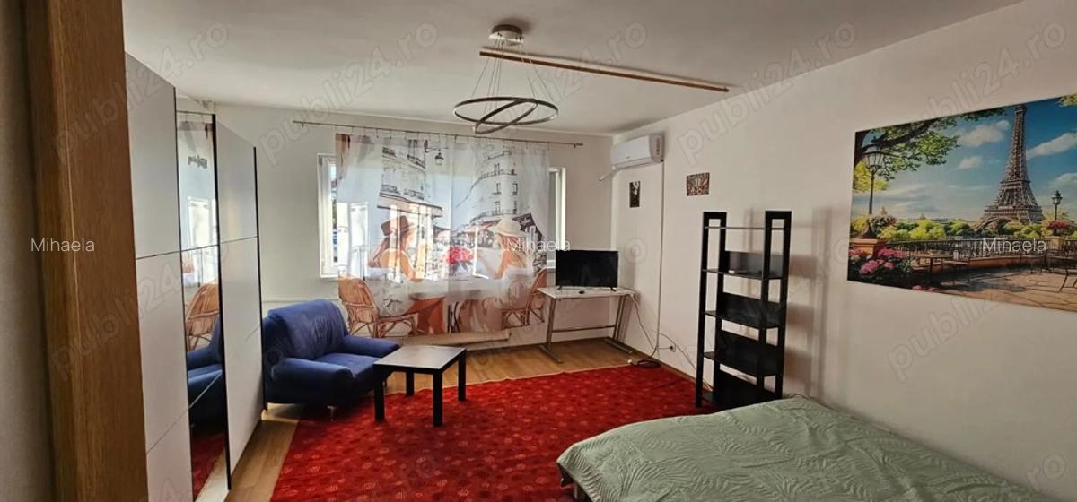 Garsoniera Dr. Taberei ANL Brancusi Dr. Doftanei - 5