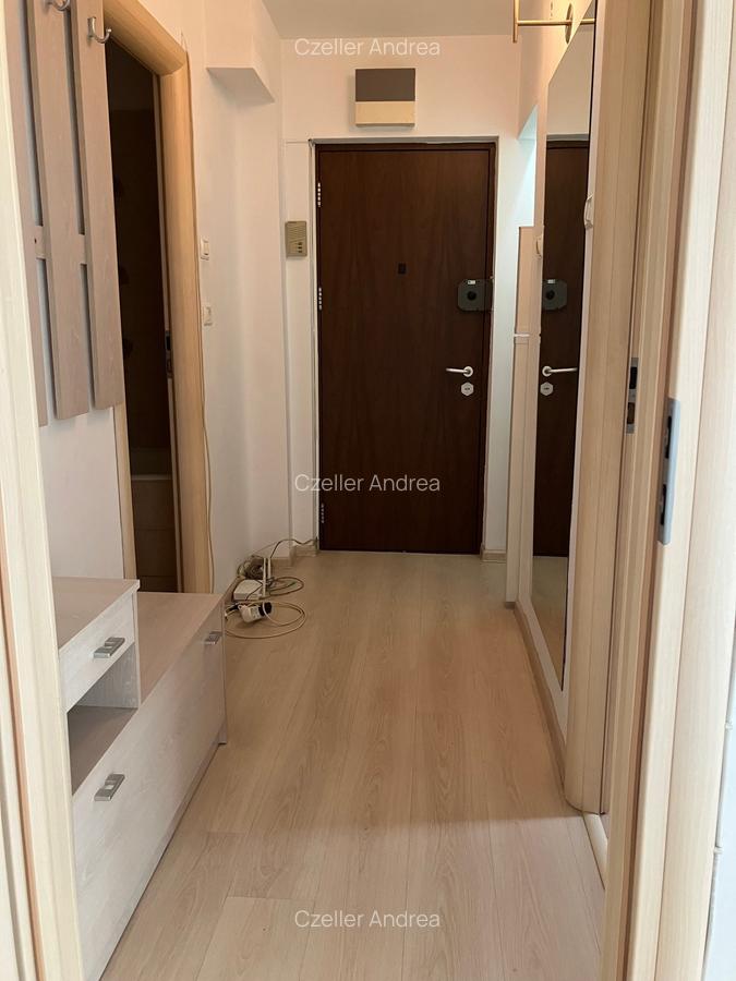 Inchiriere garsoniera Mihai Bravu Vitan,4/4,decomandata,mobilata modern,330€ANAF - 4