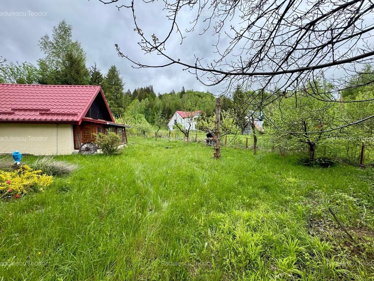 Vila vacanta Cheia - Prahova, pretabila pentru investitie - 26