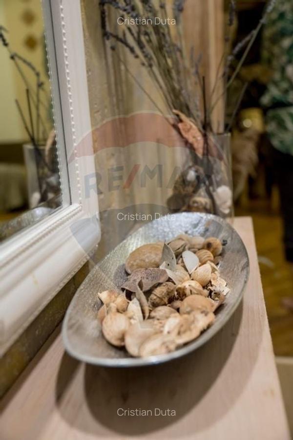 Apartament cu 2 camere de inchiriat in zona Ferdinand - 7