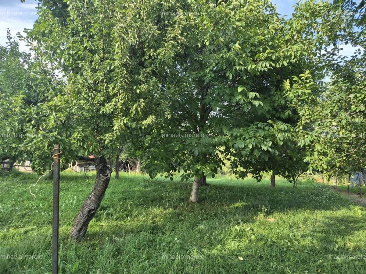 Intravilan Pestera, jud Brasov, comision 0% - 2