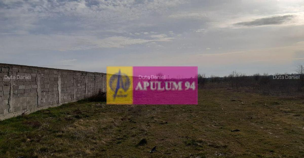 Parcela langa padure in Ilfov - 9