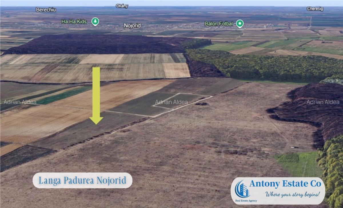 Oportunitate de investitie - Teren Cihei, langa Padurea Nojo - 5