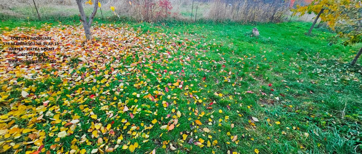 Casa individuala,cu 2 beciuri, anexe si 920 mp teren,la 10 minute de P.Neamt - 14