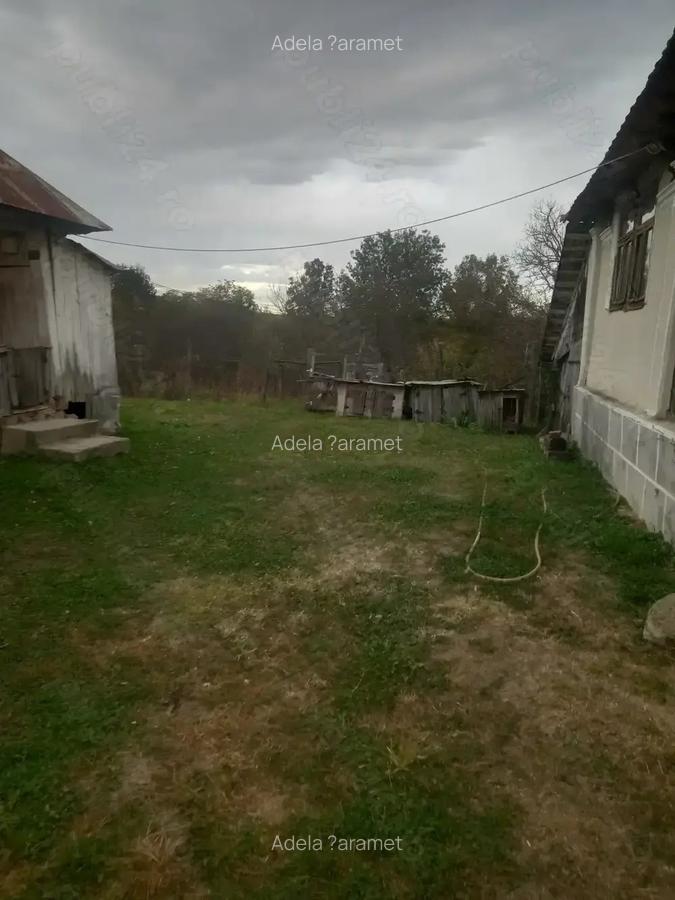 Vand casa batraneasca - 5