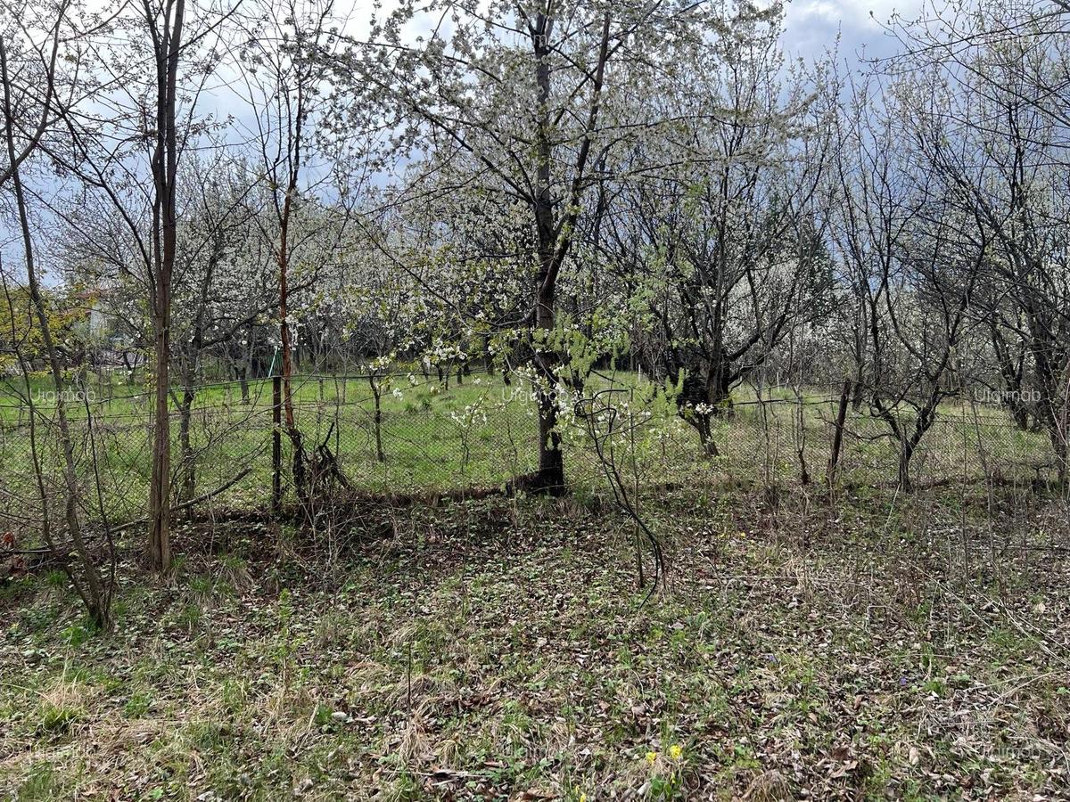 Breaza - str.Plaiului, Coasta Berzei nr.54, teren 1400 mp - 3
