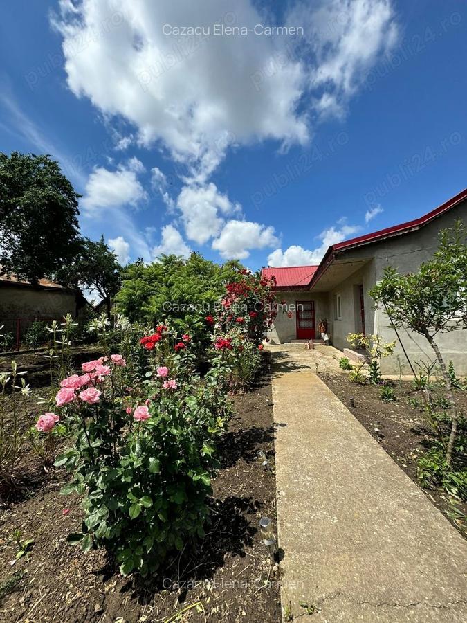 Casa de vanzare in Movila Banului , judetul Buzau - 3