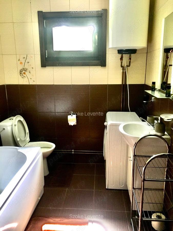 Casa din grinzi pe marginea paraului Borzont - 2