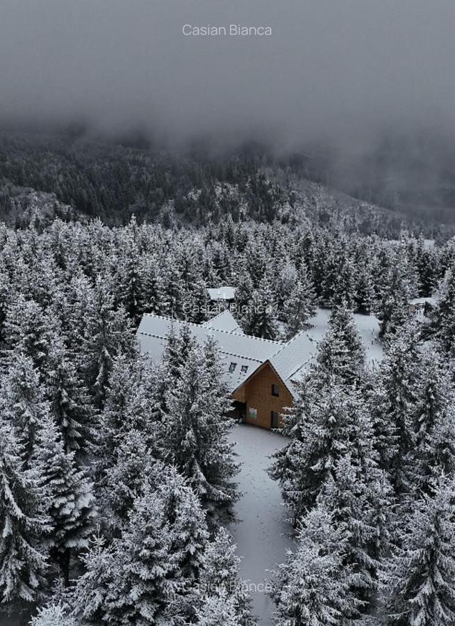 Cabana de vanzare, langa Partia Marisel, comision 0% - 6