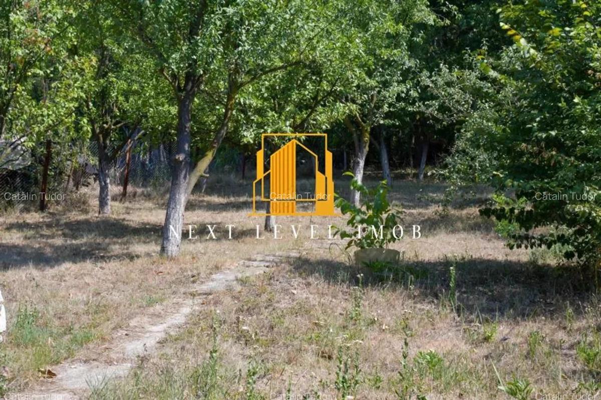 Doua case in aceea?i curte - BASCOV - 18