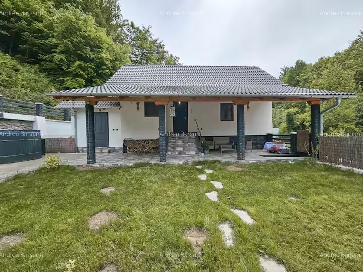 Casă de vânzare/ casă de vacanță sat turistic Suncuius Oportunitate de afaceri - 2