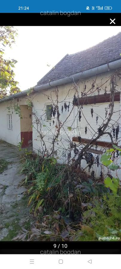 Proprietar vind casa in Ungaria localitatea Magyarcsanad aproaoe de Mako si vama Cenad Romania - 3