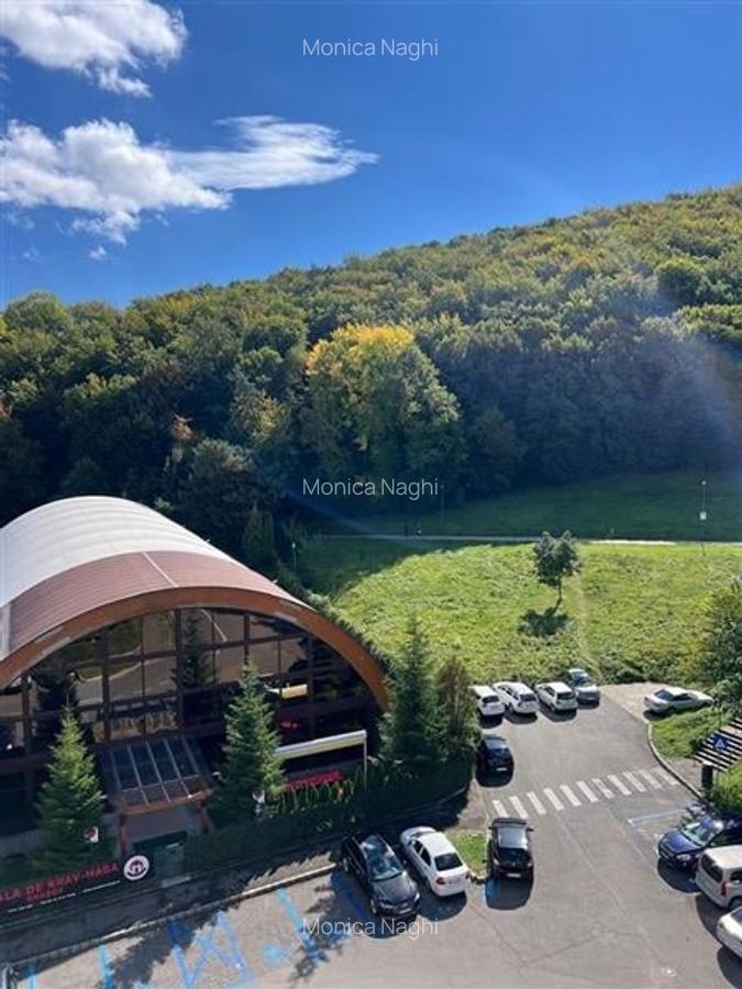 3D!Rezidenta decomandata,mobilata, accesorizata,priveliste montana,Racadau, Bras - 11