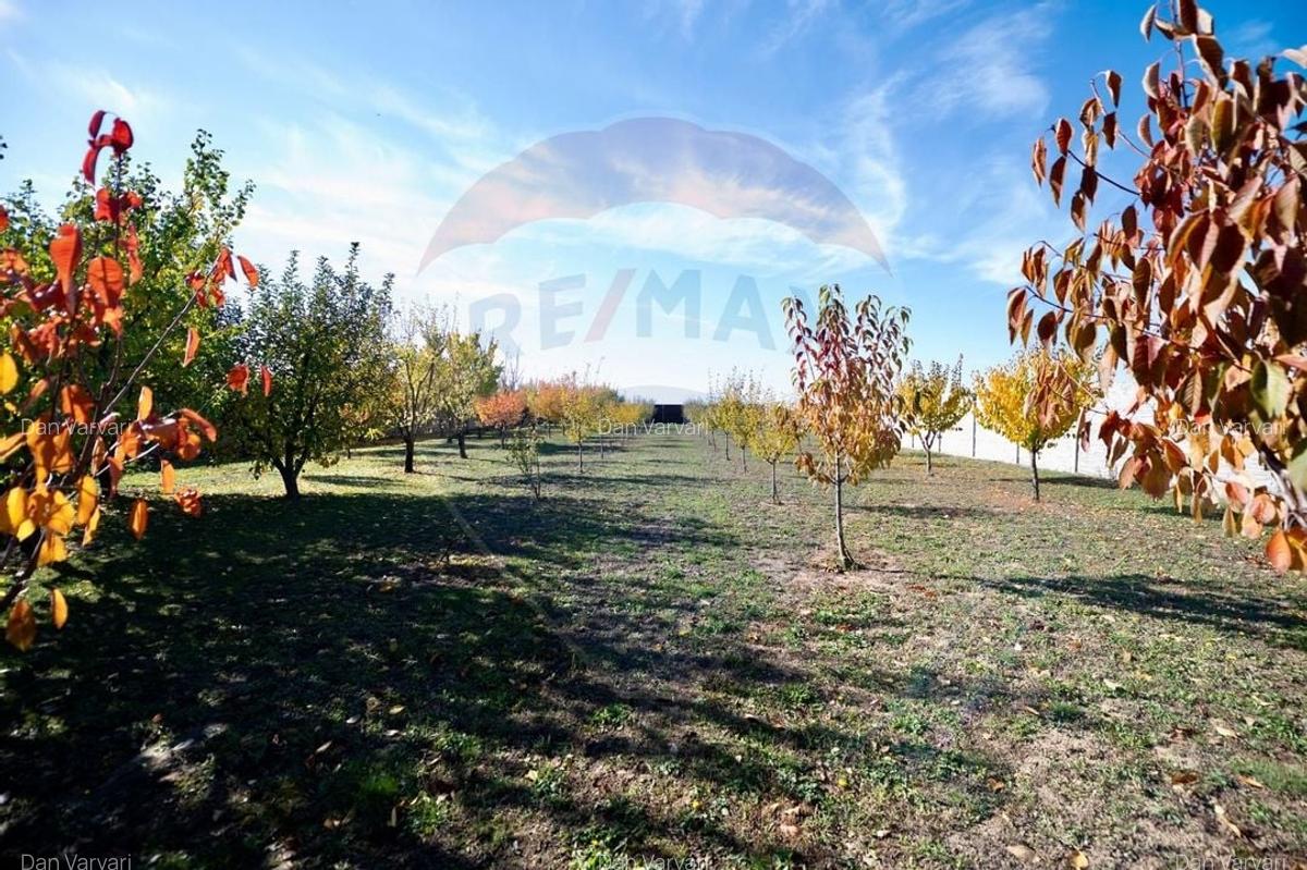 Casa / Vila cu 5 camere de vanzare cu teren 2687mp in Madaras - 22