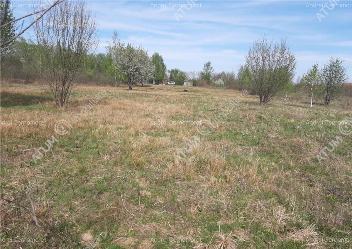 Teren intravilan 2700 mp pe Valea Avrigului localitate Avrig - 3