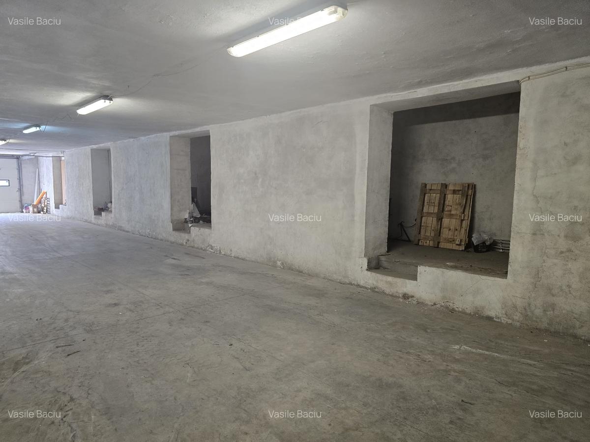 Hala depozitare sau mica productie, zona Zizinului, 400mp - 3