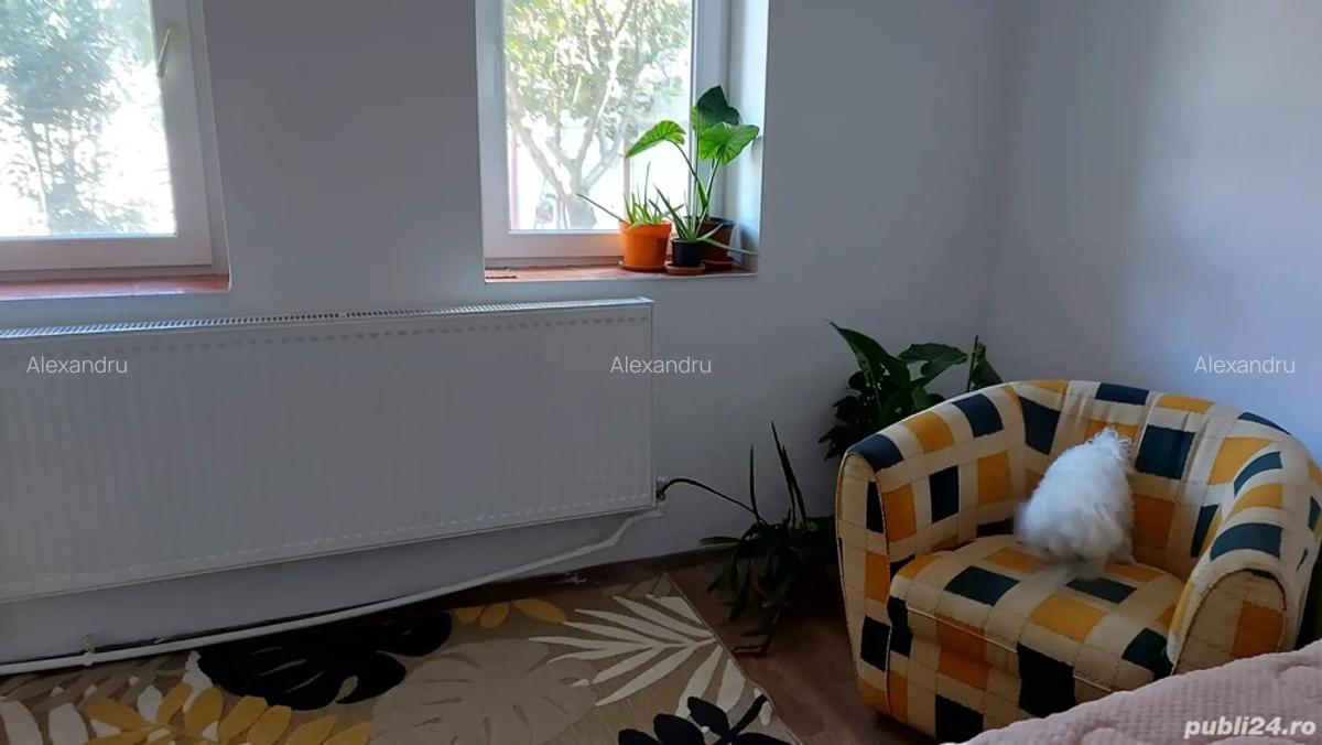Vand casa Traian 313 - 3
