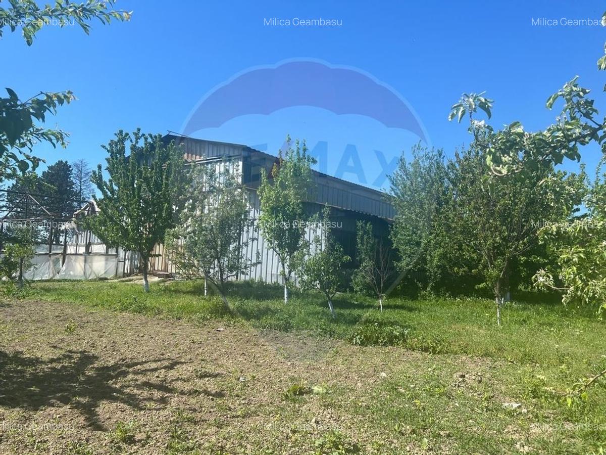 Hala metalica Campineanca - 2