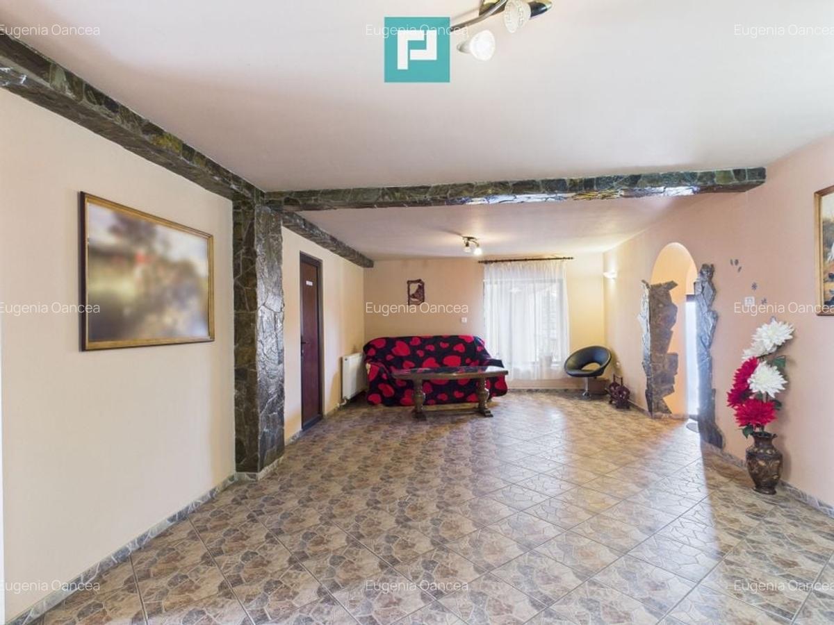 Proprietate locativă și turistică la Orțișoara - 10