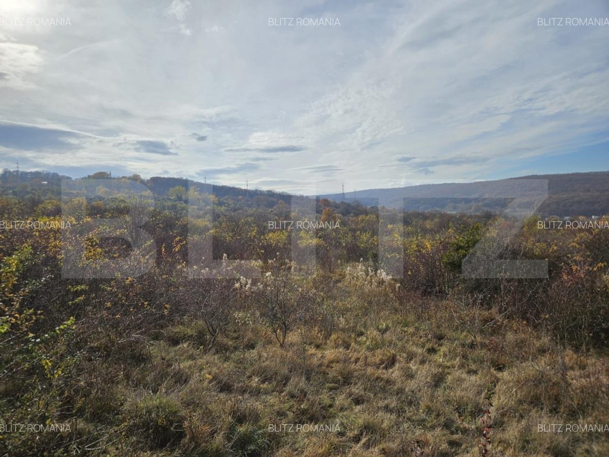 Teren de investitie! 600 mp, cu PUZ demarat, cartier Europa! - 3