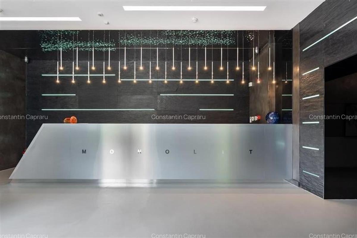 Spatiu de birou -  Piata Charles de Gaulle -  300 mp - 3