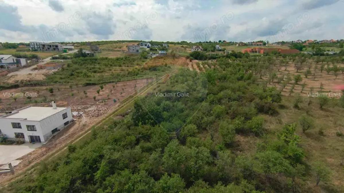 Teren intravilan 1,163mp de vanzare in Saldabagiu De Munte - 5