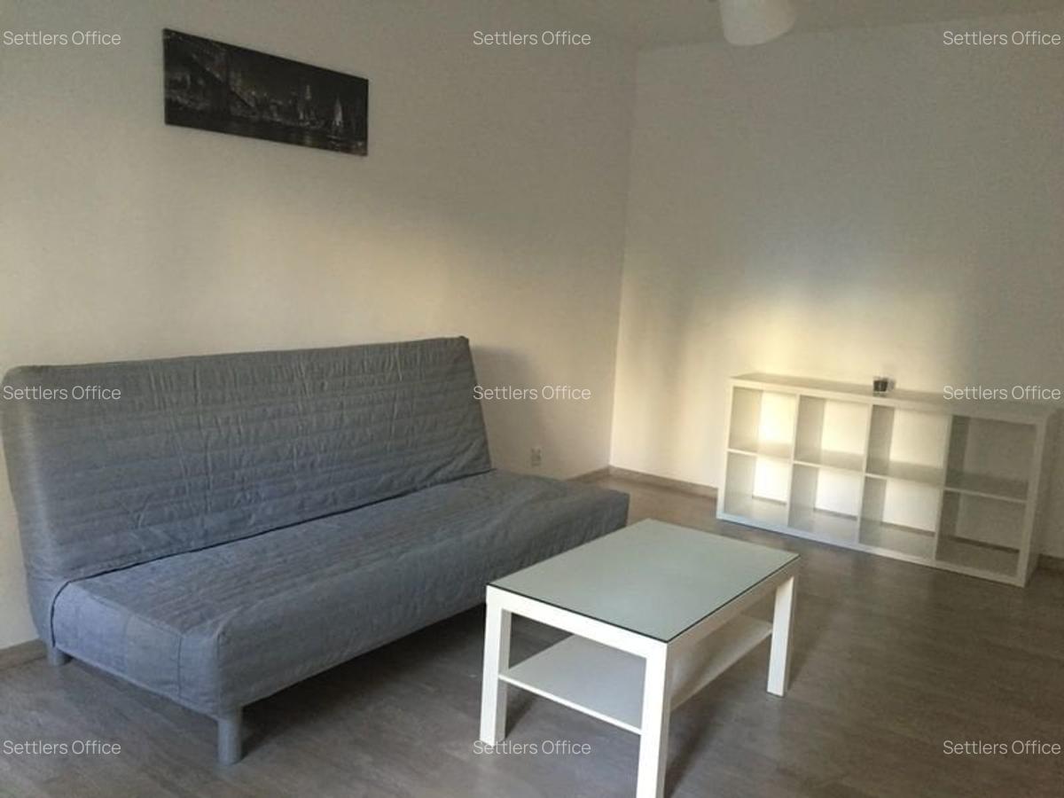 Apartament 2 camere spatios | Metrou Tineretului | Timpuri Noi - 7